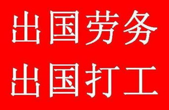 揭秘中国人出国打工的真实收入和现状