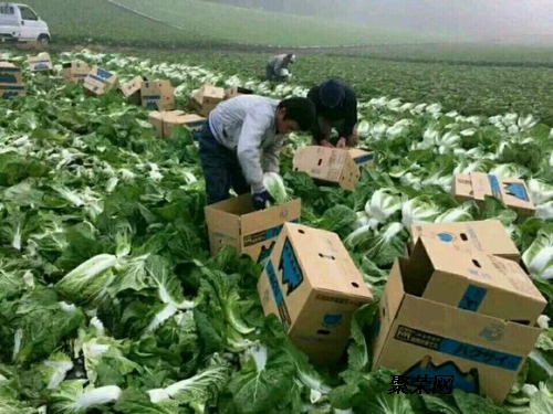 你知道海外劳工待遇如何？