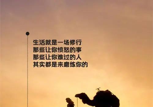江苏省正规出国劳务公司在徐州市招募赴新西兰的空乘若干名,报销面试路费